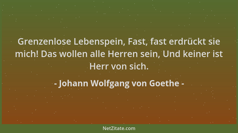 Johann Wolfgang von Goethe - Grenzenlose Lebenspein, Fast, fast erdrückt sie mich! Das wollen alle Herren sein, Und keiner...
