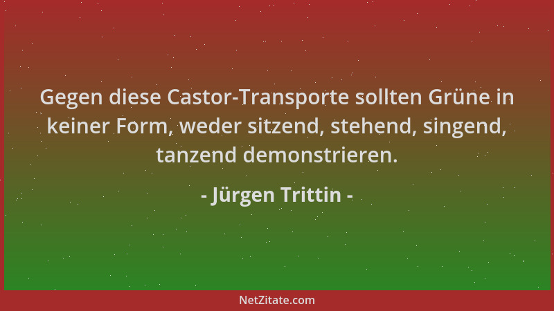 Jürgen Trittin - Gegen diese Castor-Transporte sollten Grüne in keiner Form, weder sitzend, stehend, singend, tanzend demon...