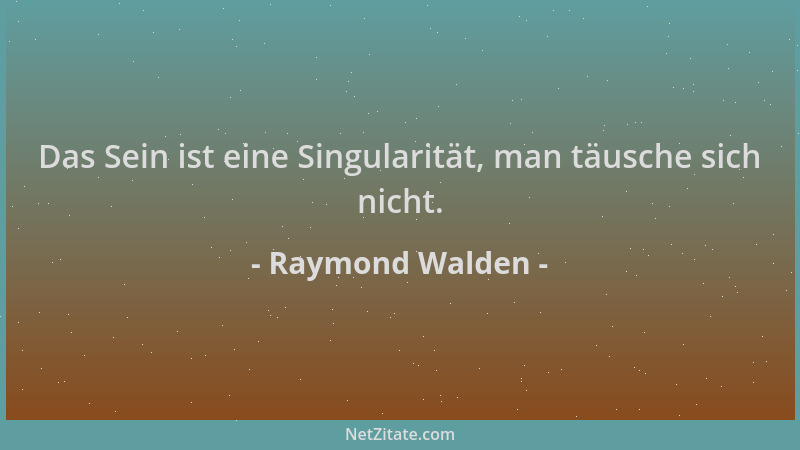 Raymond Walden - Das Sein ist eine Singularität, man täusche sich nicht....