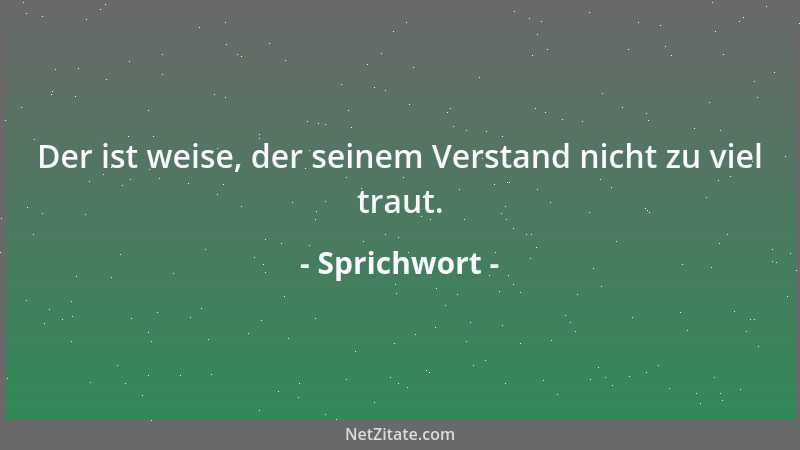 Sprichwort - Der ist weise, der seinem Verstand nicht zu viel traut....
