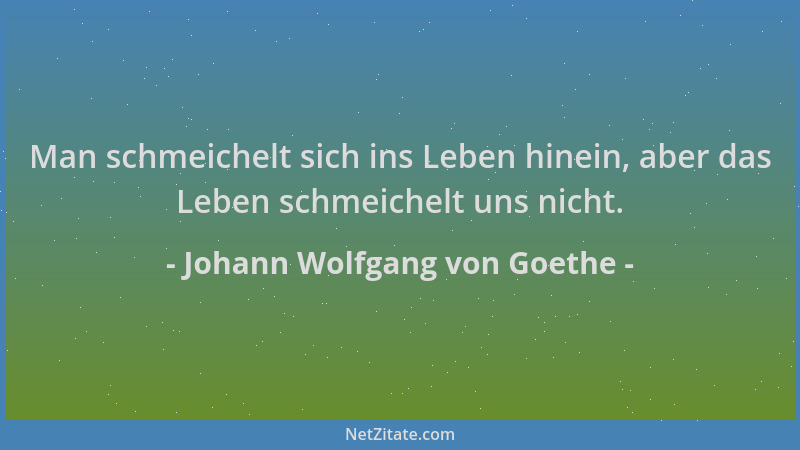 Johann Wolfgang von Goethe - Man schmeichelt sich ins Leben hinein, aber das Leben schmeichelt uns nicht....