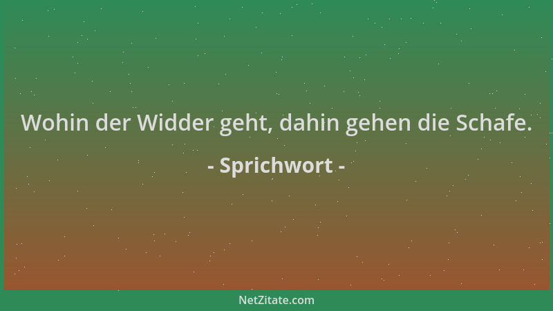 Sprichwort - Wohin der Widder geht, dahin gehen die Schafe....