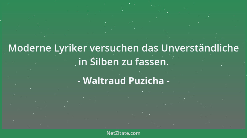 Waltraud Puzicha - Moderne Lyriker versuchen das Unverständliche in Silben zu fassen....