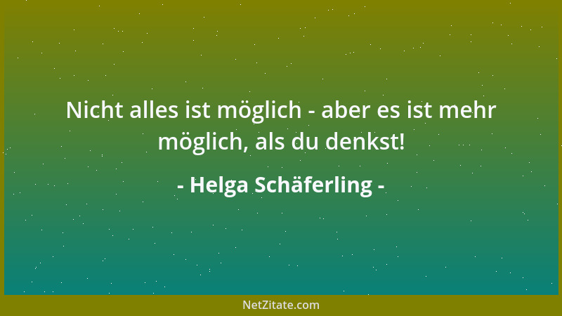 Helga Schäferling - Nicht alles ist möglich - aber es ist mehr möglich, als du denkst!...