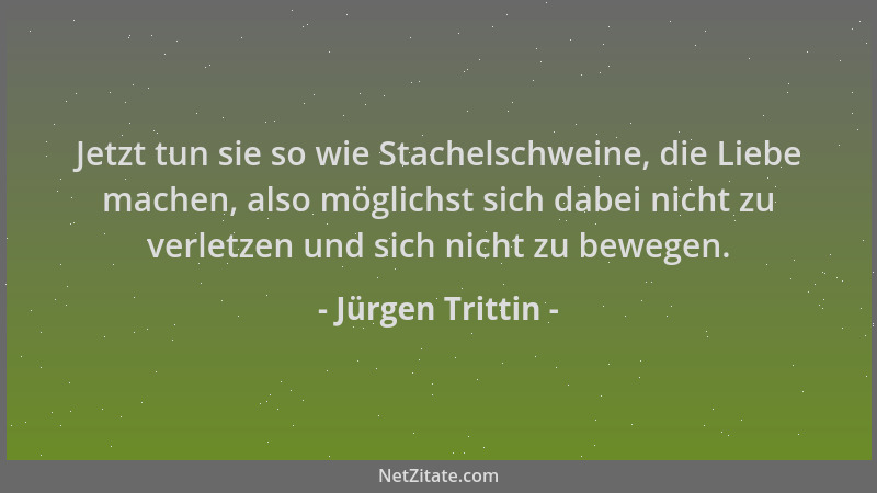 Jürgen Trittin - Jetzt tun sie so wie Stachelschweine, die Liebe machen, also möglichst sich dabei nicht zu verletzen und s...