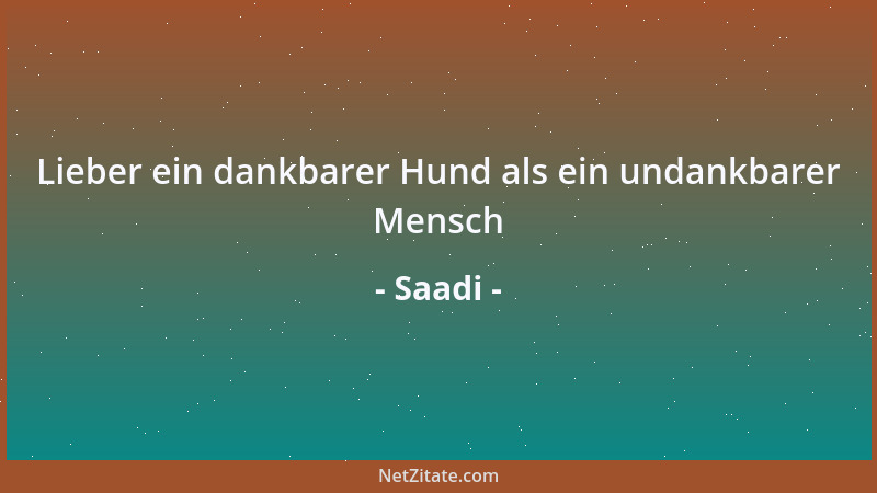 Saadi - Lieber ein dankbarer Hund als ein undankbarer Mensch...