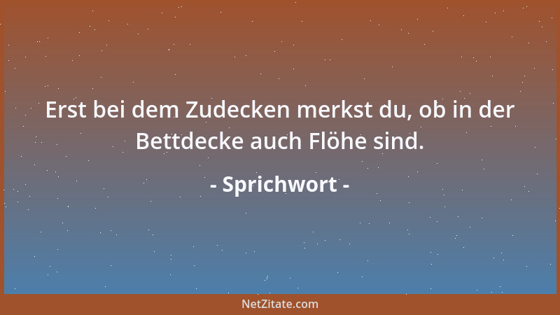 Sprichwort - Erst bei dem Zudecken merkst du, ob in der Bettdecke auch Flöhe sind....