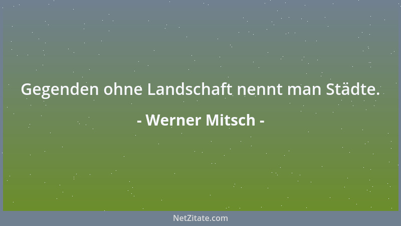 Werner Mitsch - Gegenden ohne Landschaft nennt man Städte....