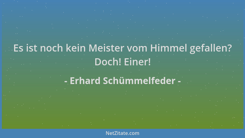 Erhard Schümmelfeder - Es ist noch kein Meister vom Himmel gefallen? Doch! Einer!...