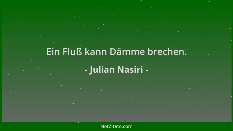 Julian Nasiri - Ein Fluß kann Dämme brechen....