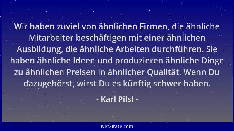 Karl Pilsl - Wir haben zuviel von ähnlichen Firmen, die ähnliche Mitarbeiter beschäftigen mit einer ähnlichen Ausbildung, d...