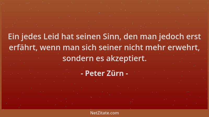 Peter Zürn - Ein jedes Leid hat seinen Sinn, den man jedoch erst erfährt, wenn man sich seiner nicht mehr erwehrt, sondern...