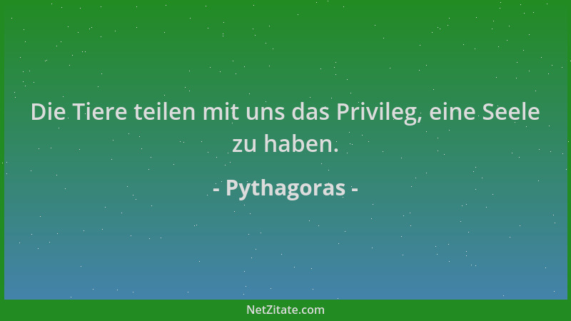 Pythagoras - Die Tiere teilen mit uns das Privileg, eine Seele zu haben....