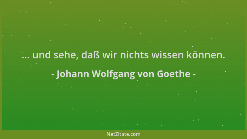 Johann Wolfgang von Goethe - ... und sehe, daß wir nichts wissen können....