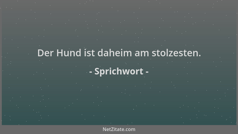 Sprichwort - Der Hund ist daheim am stolzesten....