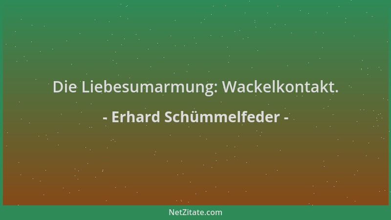 Erhard Schümmelfeder - Die Liebesumarmung: Wackelkontakt....