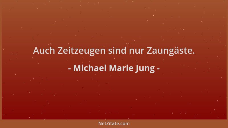 Michael Marie Jung - Auch Zeitzeugen sind nur Zaungäste....