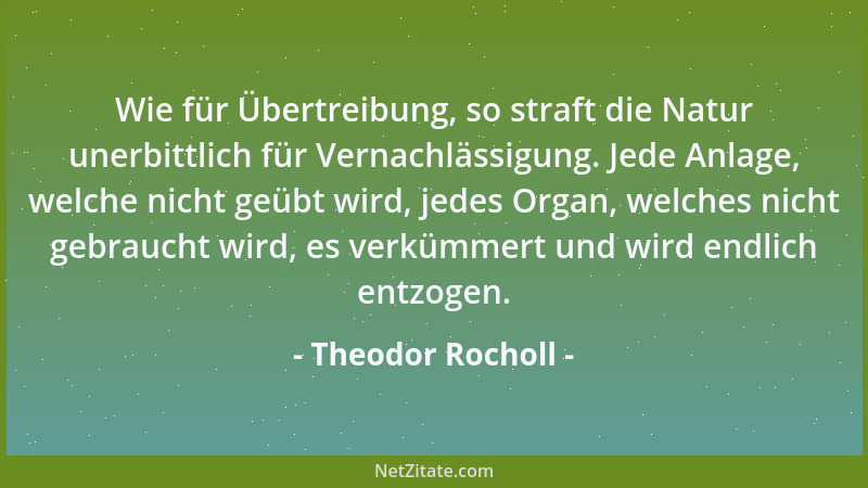 Theodor Rocholl - Wie für Übertreibung, so straft die Natur unerbittlich für Vernachlässigung. Jede Anlage, welche nicht ge...