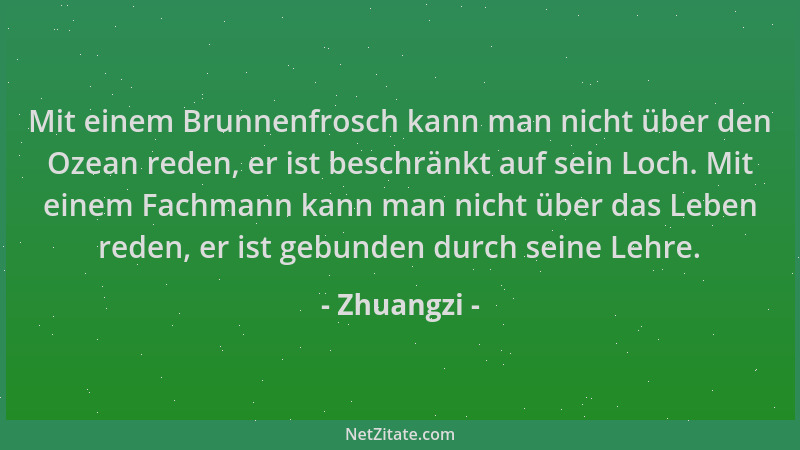 Zhuangzi - Mit einem Brunnenfrosch kann man nicht über den Ozean reden, er ist beschränkt auf sein Loch. Mit einem Fachmann...