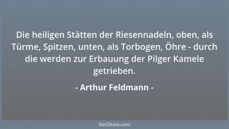 Arthur Feldmann - Die heiligen Stätten der Riesennadeln, oben, als Türme, Spitzen, unten, als Torbogen, Öhre - durch die we...