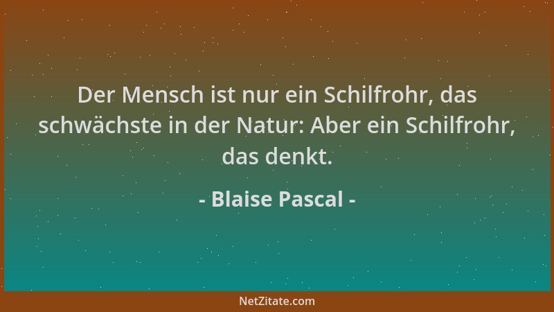 Blaise Pascal - Der Mensch ist nur ein Schilfrohr, das schwächste in der Natur: Aber ein Schilfrohr, das denkt....
