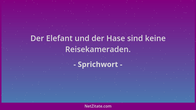 Sprichwort - Der Elefant und der Hase sind keine Reisekameraden....