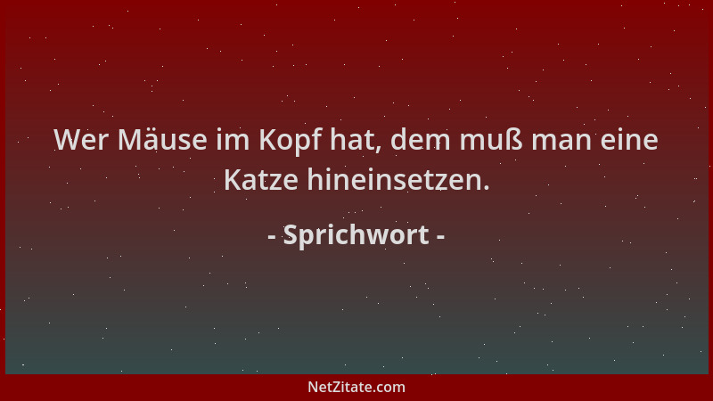 Sprichwort - Wer Mäuse im Kopf hat, dem muß man eine Katze hineinsetzen....