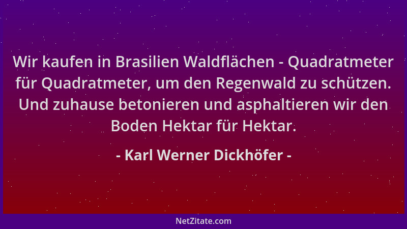 Karl Werner Dickhöfer - Wir kaufen in Brasilien Waldflächen - Quadratmeter für Quadratmeter, um den Regenwald zu schützen....