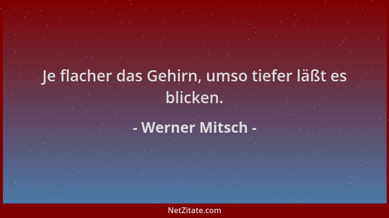 Werner Mitsch - Je flacher das Gehirn, umso tiefer läßt es blicken....