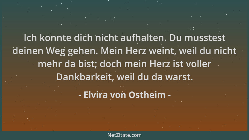 Elvira von Ostheim - Ich konnte dich nicht aufhalten. Du musstest deinen Weg gehen. Mein Herz weint, weil du nicht mehr da...