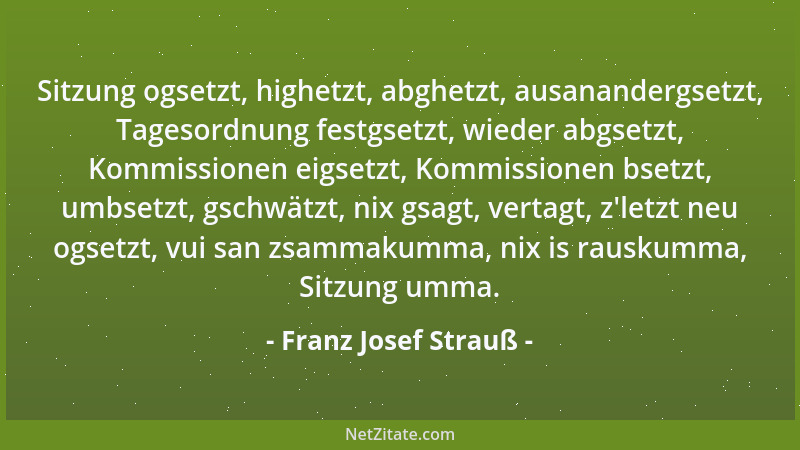 Franz Josef Strauß - Ich habe zu meinem Leidwesen oft erfahren, dass Ironie in der Rede oftmals nicht verstanden wird....