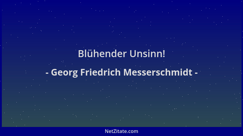 Georg Friedrich Messerschmidt - Blühender Unsinn!...