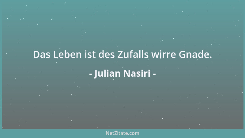 Julian Nasiri - Alles wird zu Geld, nur so hat es noch einen Wert....