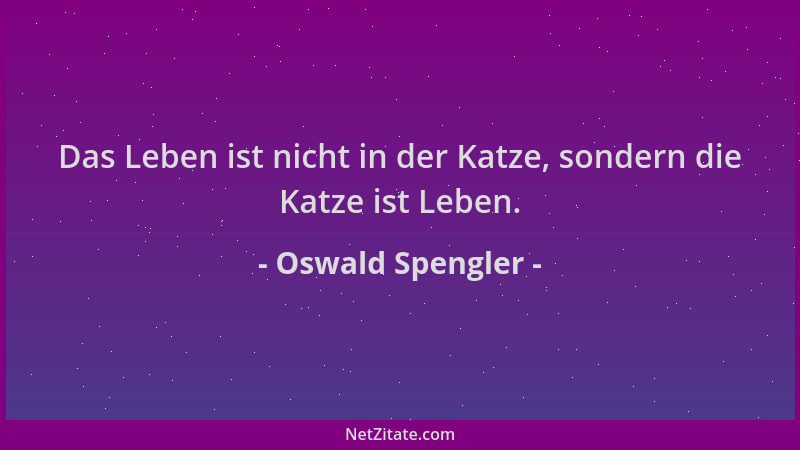 Oswald Spengler - Das Leben ist nicht in der Katze, sondern die Katze ist Leben....