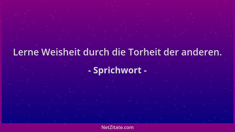 Sprichwort - Lerne Weisheit durch die Torheit der anderen....