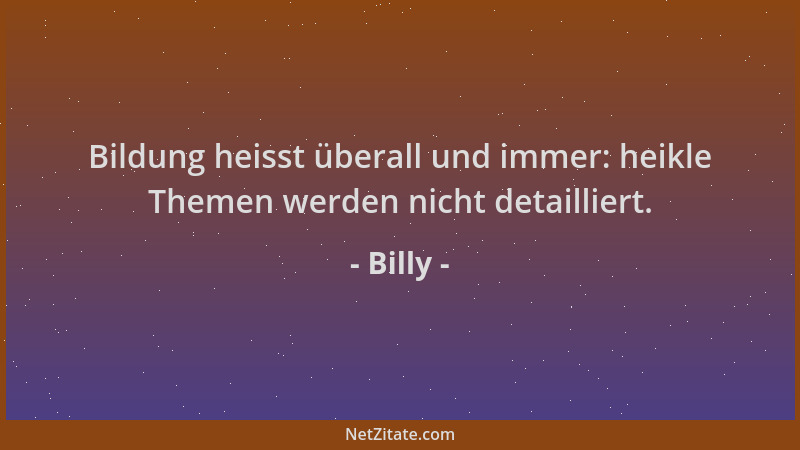 Billy - Bildung heisst überall und immer: heikle Themen werden nicht detailliert....