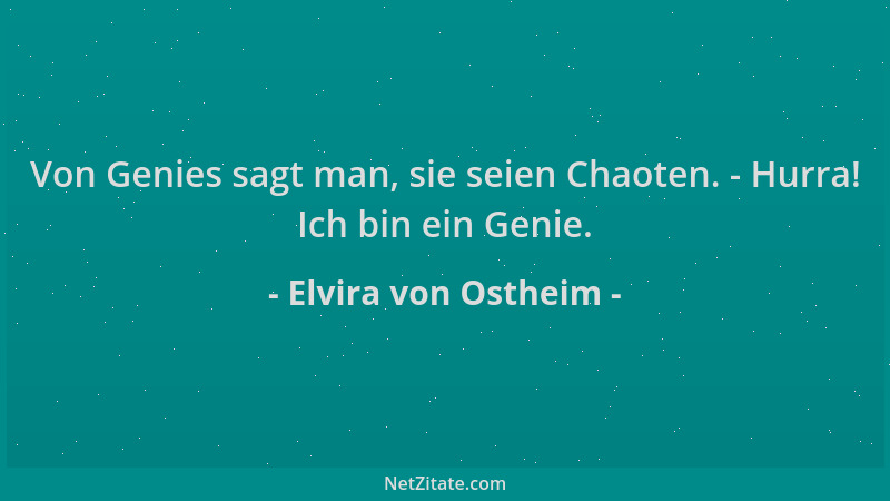 Elvira von Ostheim - Von Genies sagt man, sie seien Chaoten. - Hurra! Ich bin ein Genie....
