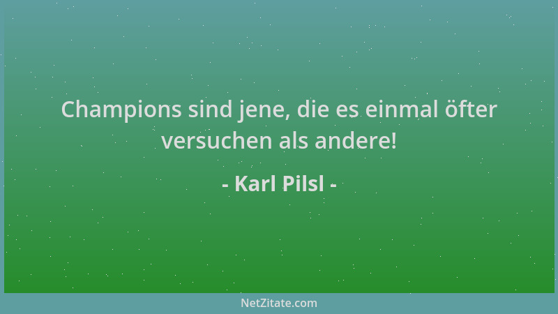 Karl Pilsl - Champions sind jene, die es einmal öfter versuchen als andere!...
