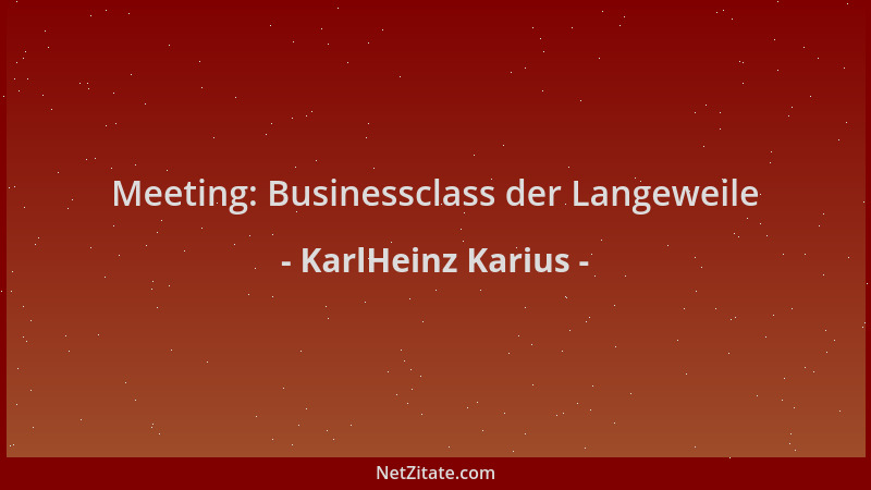 KarlHeinz Karius - Meeting: Businessclass der Langeweile...