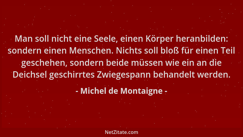 Michel de Montaigne - Man soll nicht eine Seele, einen Körper heranbilden: sondern einen Menschen. Nichts soll bloß für ein...
