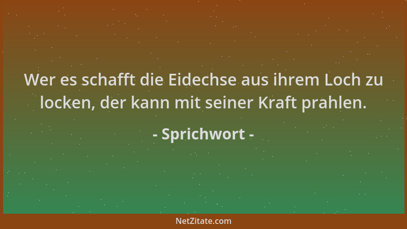Sprichwort - Wer es schafft die Eidechse aus ihrem Loch zu locken, der kann mit seiner Kraft prahlen....