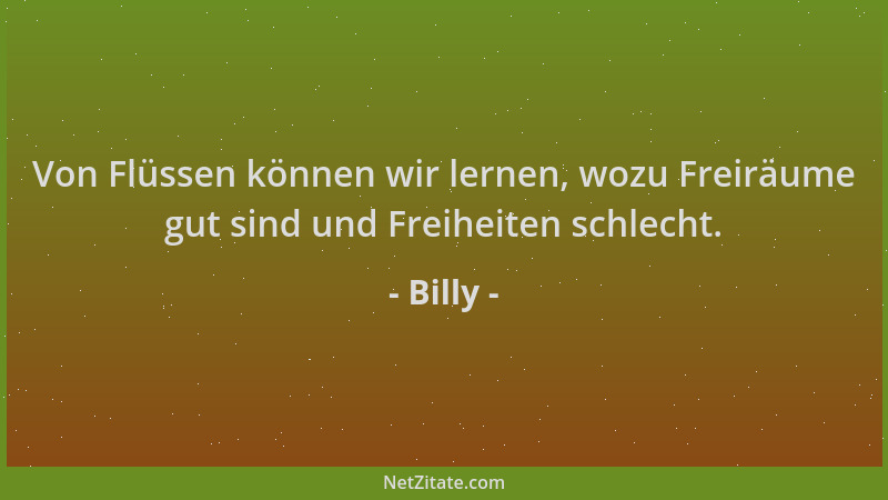 Billy - Von Flüssen können wir lernen, wozu Freiräume gut sind und Freiheiten schlecht....