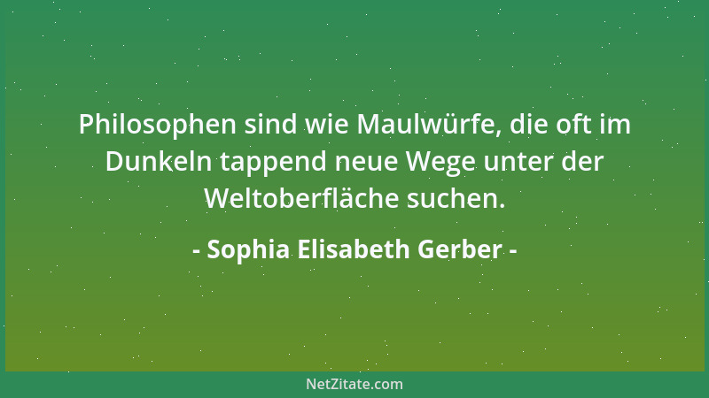 Sophia Elisabeth Gerber - Philosophen sind wie Memoryspieler: nach Poppers Trial-and-error-Methode machen sie sich Schritt...