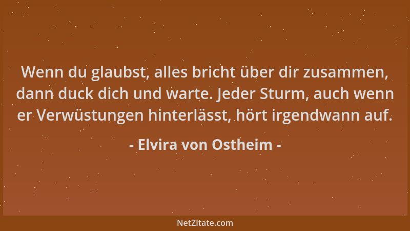 Elvira von Ostheim - Wenn du glaubst, alles bricht über dir zusammen, dann duck dich und warte. Jeder Sturm, auch wenn er V...