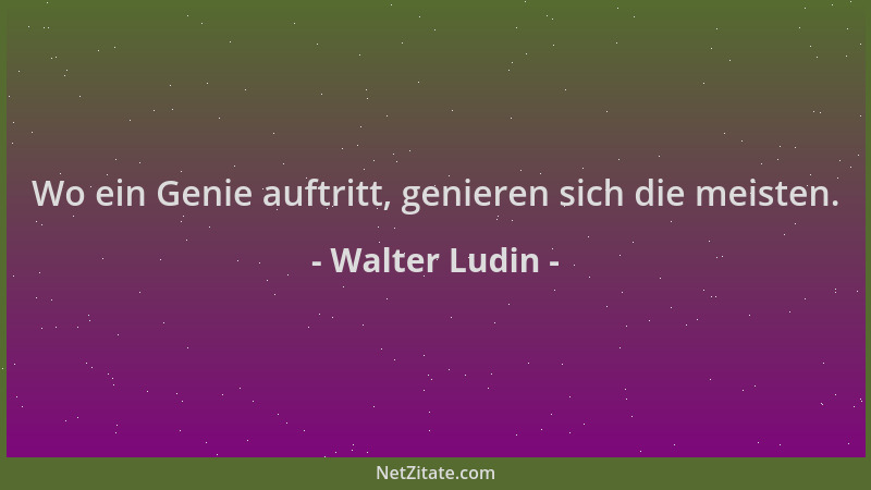 Walter Ludin - Wo ein Genie auftritt, genieren sich die meisten....