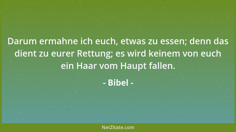 Bibel - Darum ermahne ich euch, etwas zu essen; denn das dient zu eurer Rettung; es wird keinem von euch ein Haar vom Haupt...