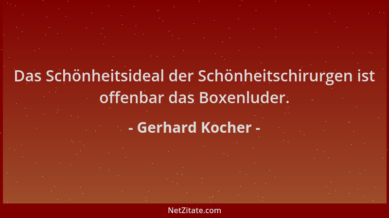 Gerhard Kocher - Das Schönheitsideal der Schönheitschirurgen ist offenbar das Boxenluder....