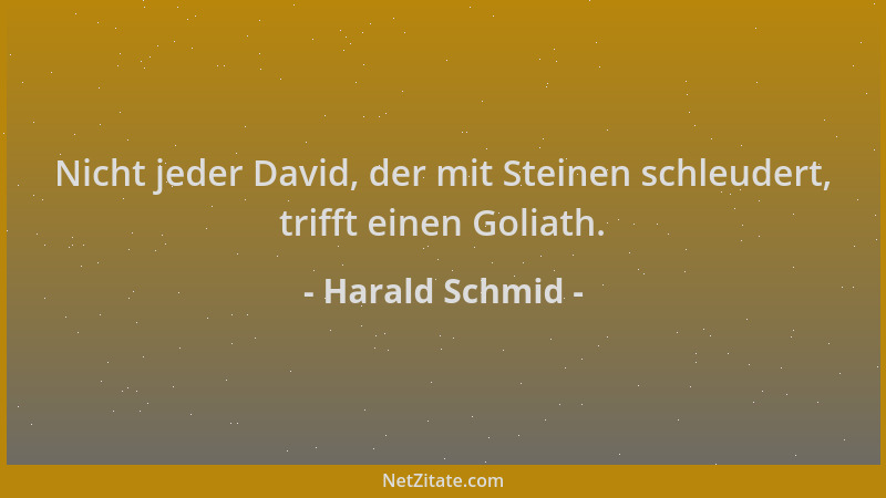 Harald Schmid - Nicht jeder David, der mit Steinen schleudert, trifft einen Goliath....