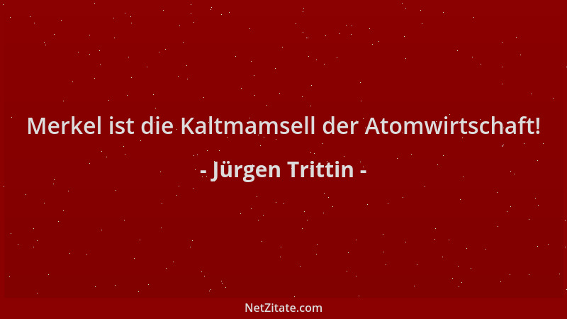 Jürgen Trittin - Merkel ist die Kaltmamsell der Atomwirtschaft!...
