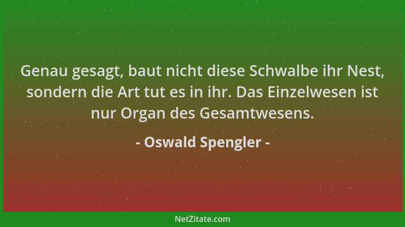 Oswald Spengler - Genau gesagt, baut nicht diese Schwalbe ihr Nest, sondern die Art tut es in ihr. Das Einzelwesen ist nur...